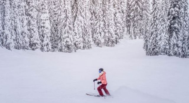 スノボツアーの魅力を徹底解剖冬の雪山を満喫するおすすめプランの選び方