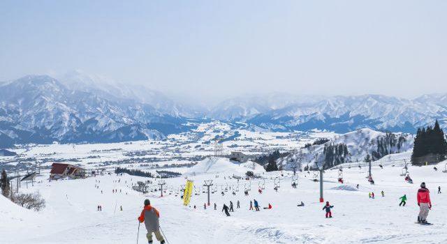 知らぬ間に損していませんか手間も不安も丸投げで体験する日帰りスキーツアーの落とし穴と快楽 知らぬ間に損していませんか手間も不安も丸投げで体験する日帰りスキーツアーの落とし穴と快楽